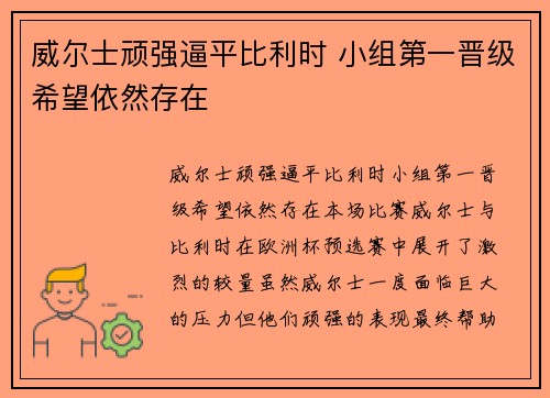 威尔士顽强逼平比利时 小组第一晋级希望依然存在