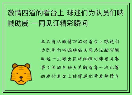 激情四溢的看台上 球迷们为队员们呐喊助威 一同见证精彩瞬间