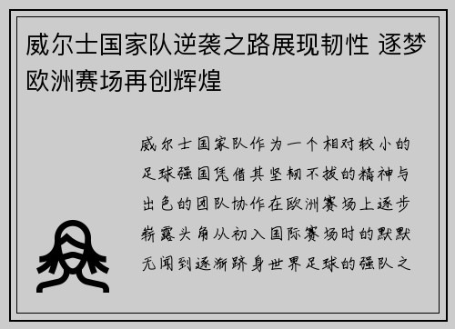 威尔士国家队逆袭之路展现韧性 逐梦欧洲赛场再创辉煌