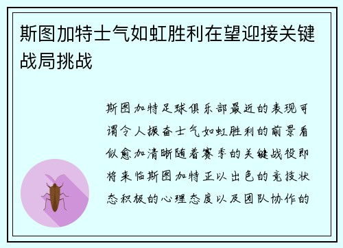 斯图加特士气如虹胜利在望迎接关键战局挑战
