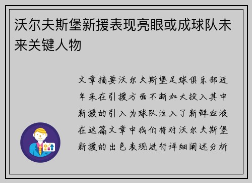 沃尔夫斯堡新援表现亮眼或成球队未来关键人物