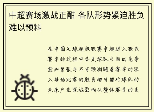 中超赛场激战正酣 各队形势紧迫胜负难以预料