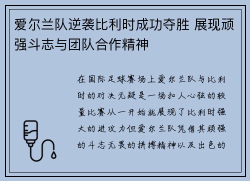 爱尔兰队逆袭比利时成功夺胜 展现顽强斗志与团队合作精神